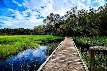 Florida Retreat Nr Lakewood Ranch Sports Campus Villa Bradenton Buitenkant foto